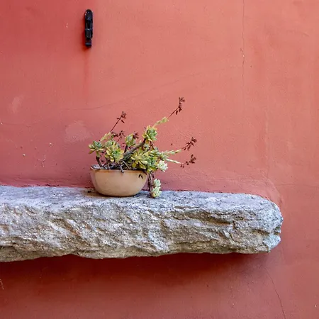Casa Jasmine, Casa Con Giardino - Maggiore - Wifi - By Guestaly *